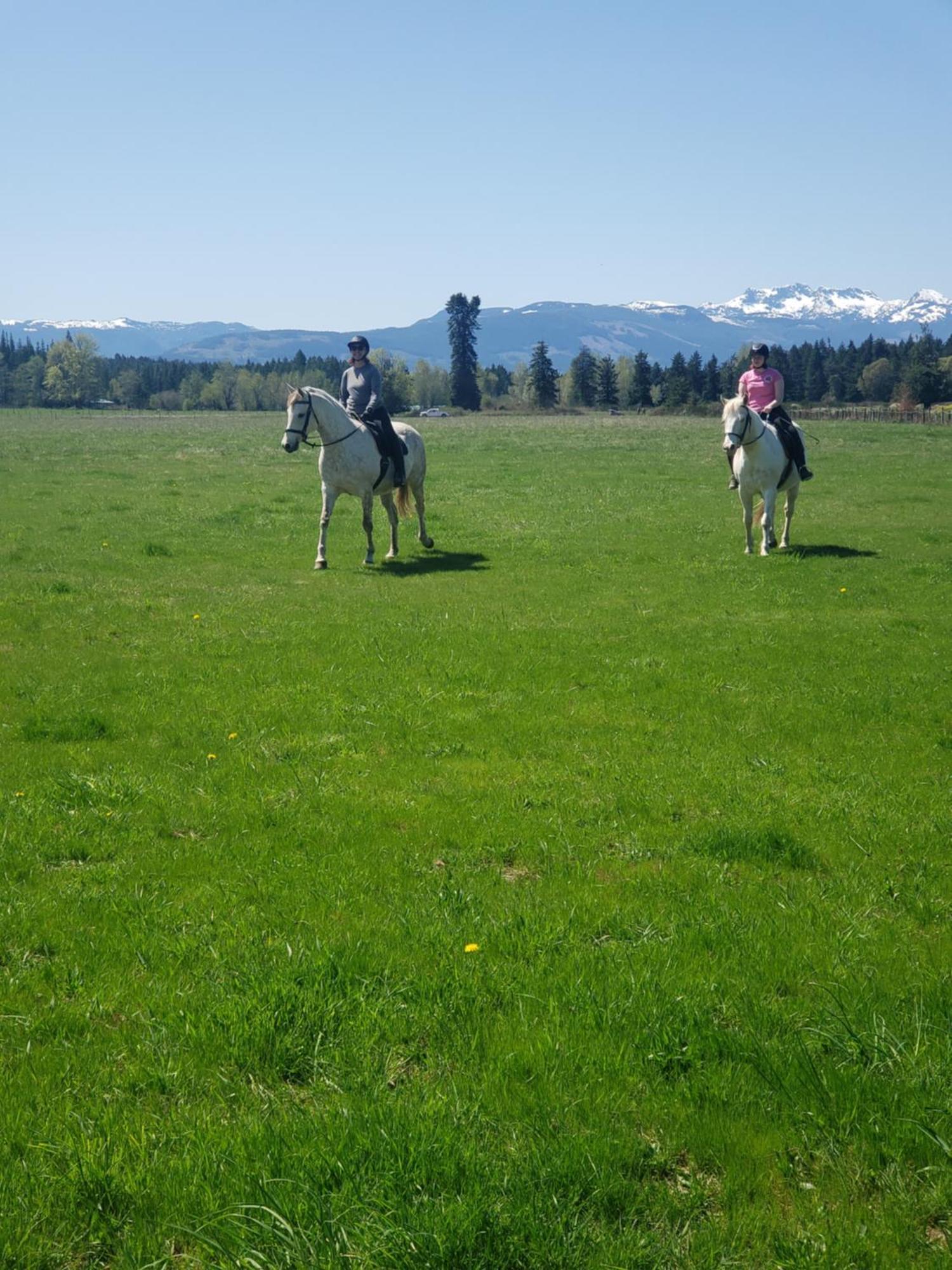 Paradise Acres Ranch Nanoose Bay Εξωτερικό φωτογραφία