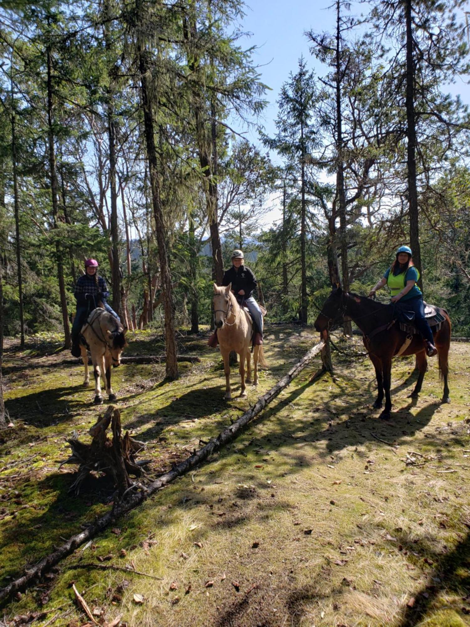 Paradise Acres Ranch Nanoose Bay Εξωτερικό φωτογραφία