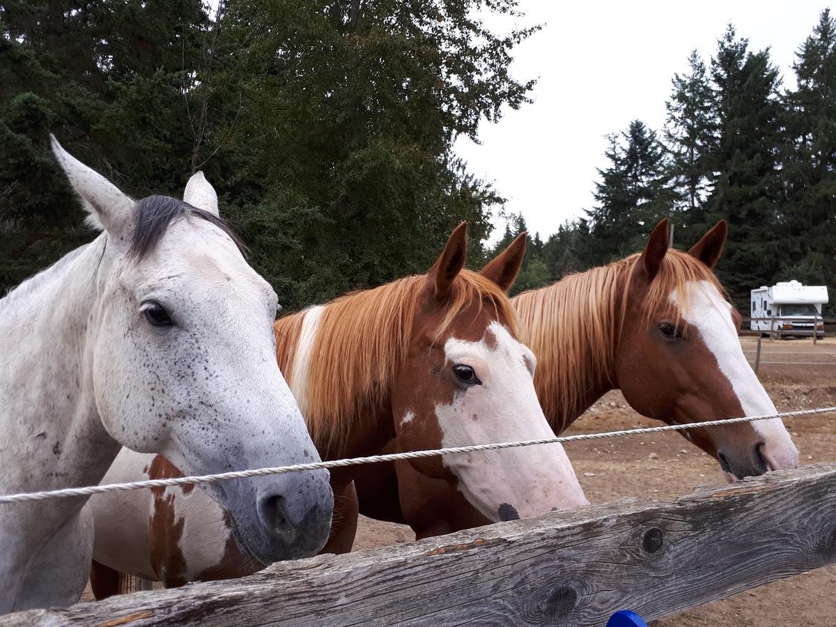 Paradise Acres Ranch Nanoose Bay Εξωτερικό φωτογραφία