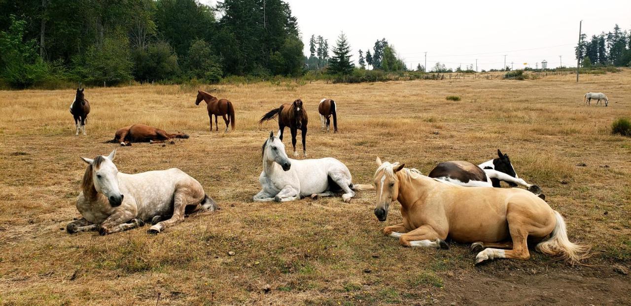 Paradise Acres Ranch Nanoose Bay Εξωτερικό φωτογραφία
