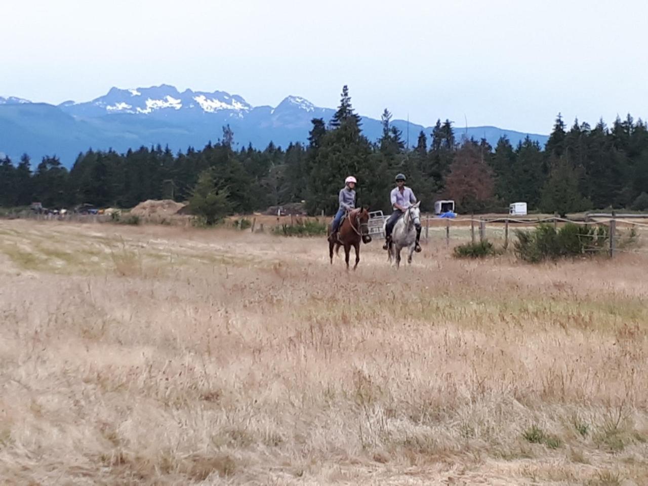 Paradise Acres Ranch Nanoose Bay Εξωτερικό φωτογραφία