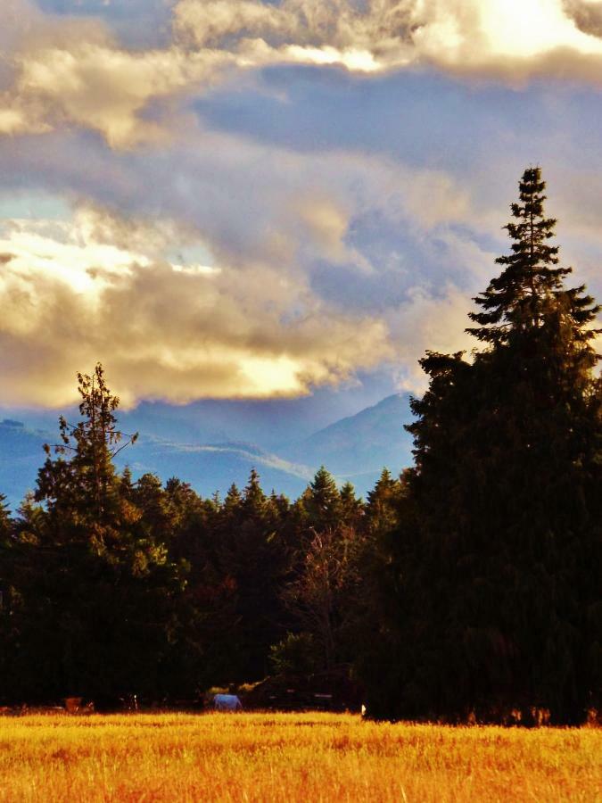 Paradise Acres Ranch Nanoose Bay Εξωτερικό φωτογραφία