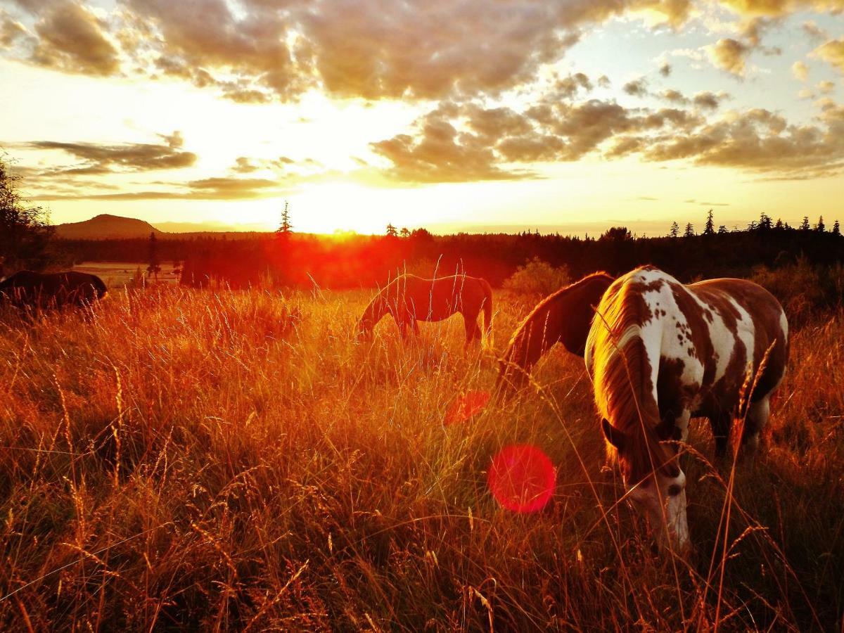 Paradise Acres Ranch Nanoose Bay Εξωτερικό φωτογραφία